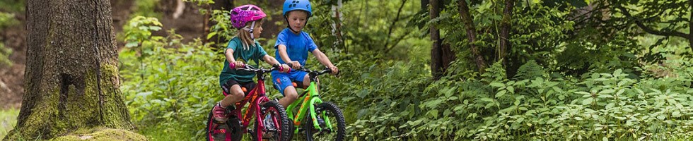 Learning to Ride a Bike